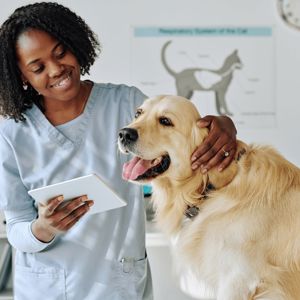 Find Info on Pet Insurance [year]